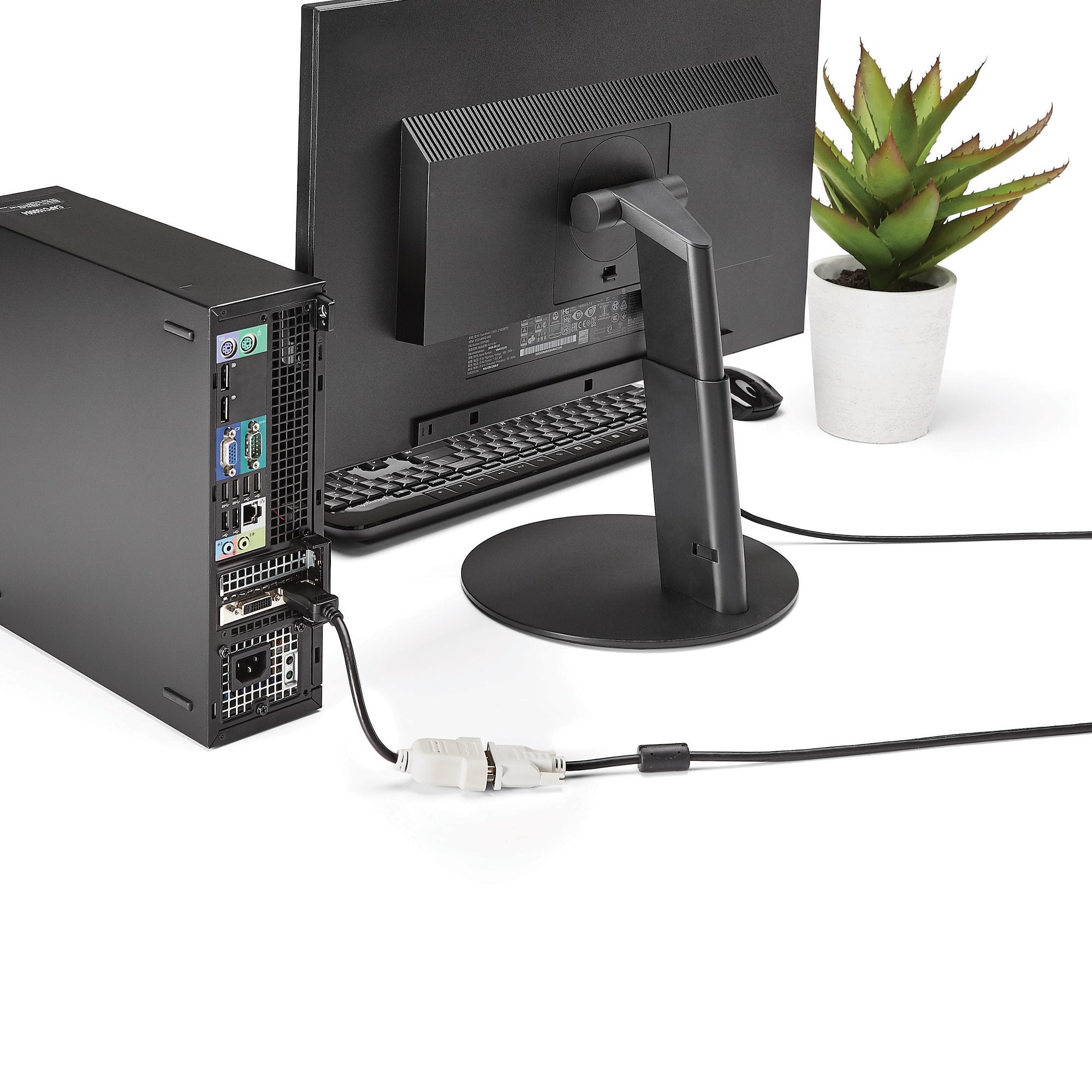 alStuff.se StarTech.com DisplayPort till DVI-adapter - DisplayPort till DVI-D-adapter/videokonverterare 1080p - DP 1.2 til