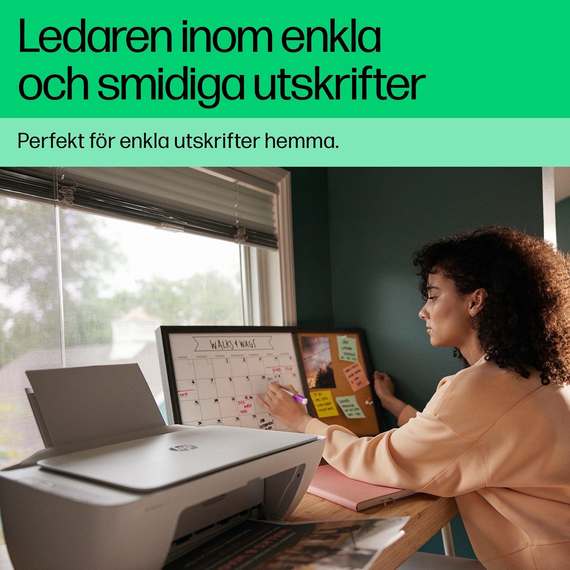 0196337380035|196337380035|0196337380042|196337380042|0196337380028|196337380028|5715063395066|5715063395059|5715063395042 M