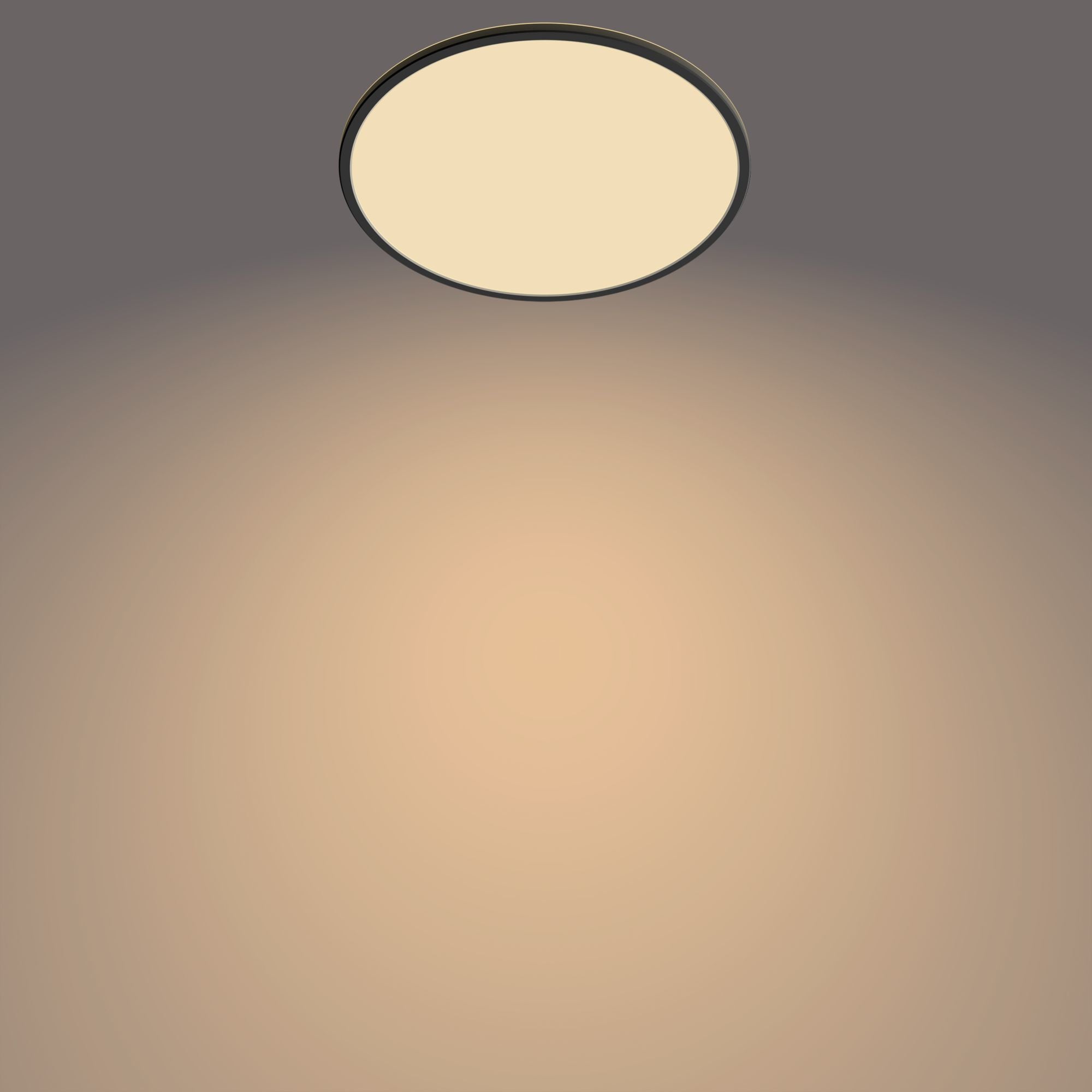 19514327085 Taklampor Funktionell Supertunn taklampa 22 W www.electricalstuff.se ElectricalStuff.se Philips Funktionell S