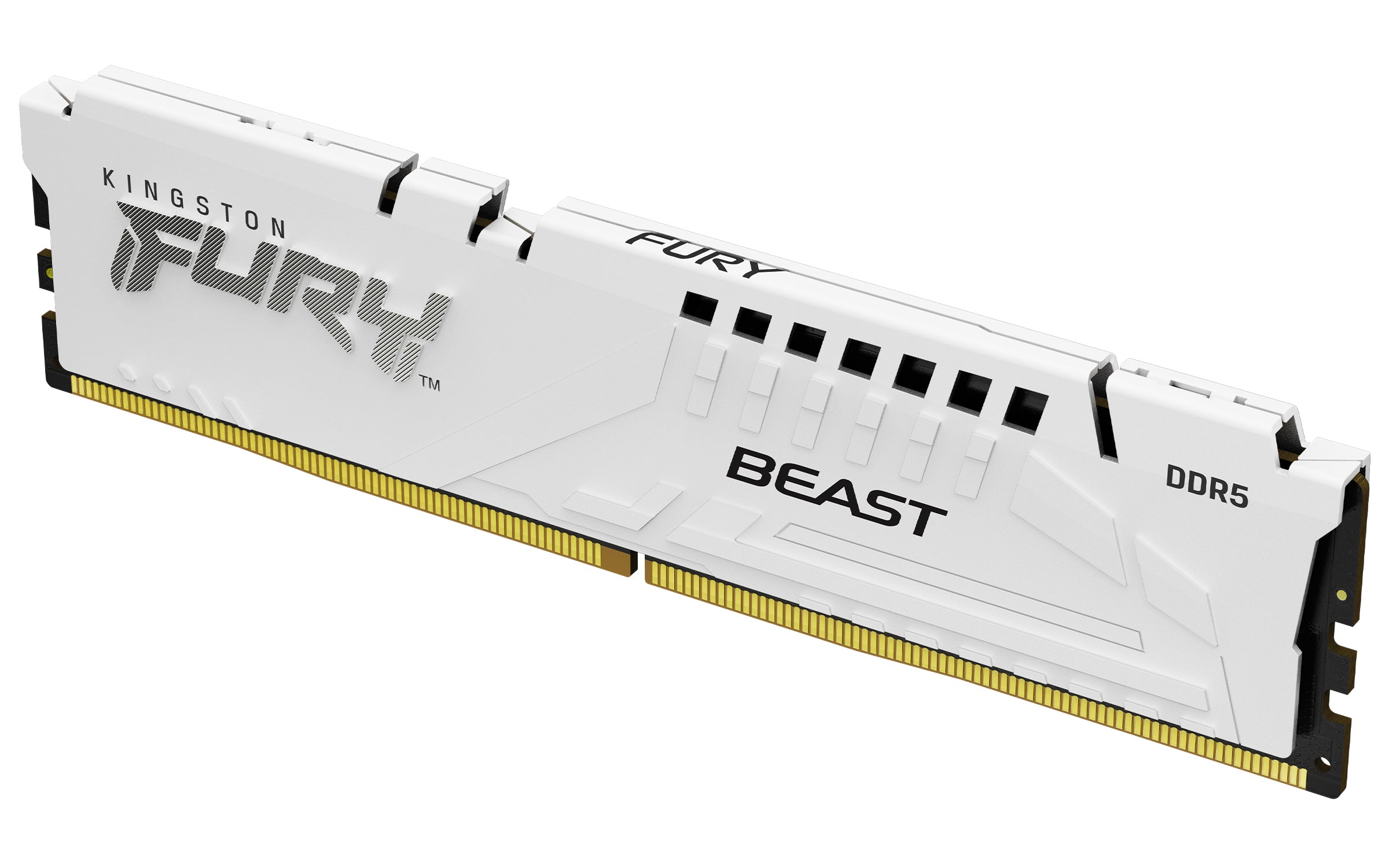 ogy KF560C30BWEK2-32 0740617343328|740617343328 RAM-Minnen FURY Beast Beast www.electricalstuff.se ElectricalStuff.se King