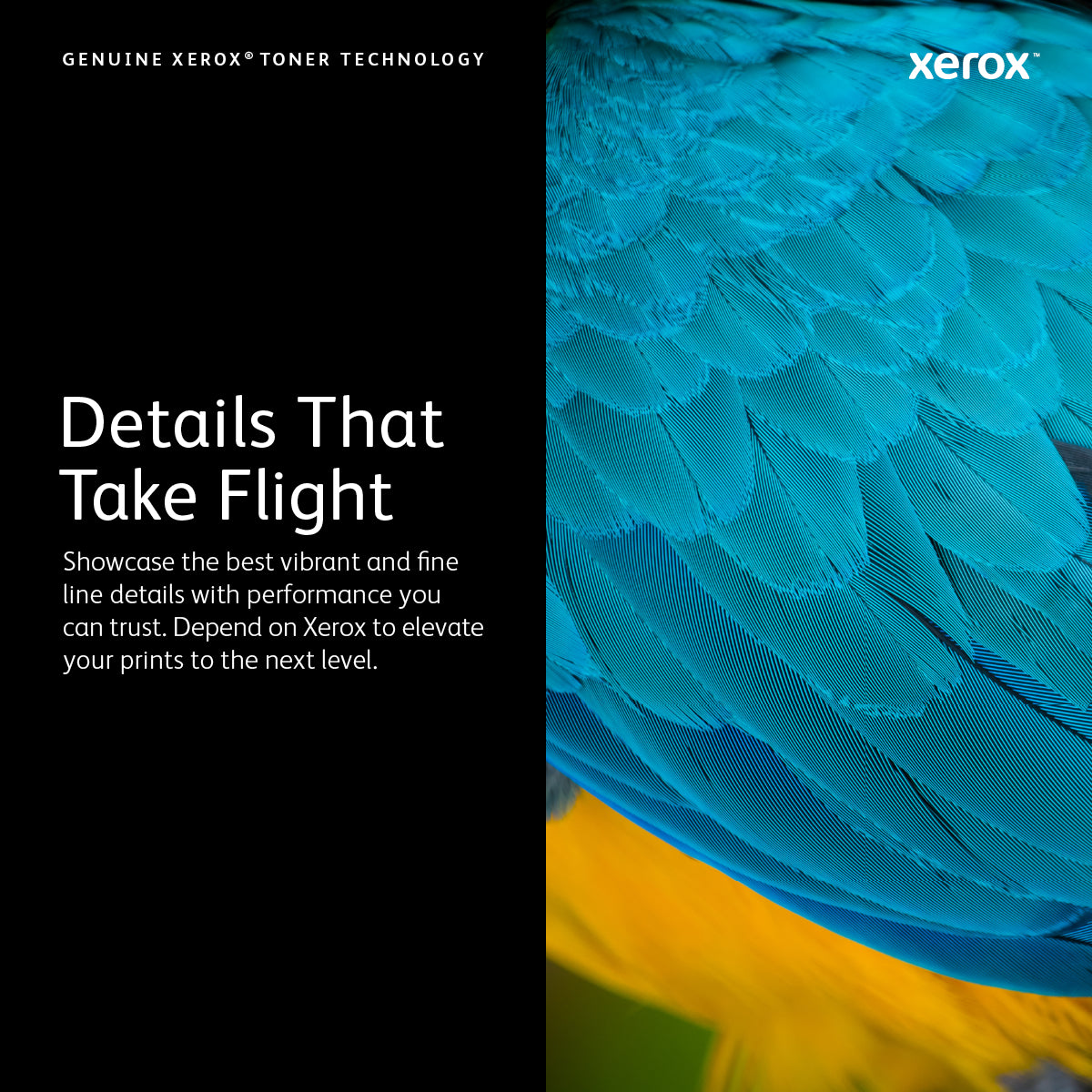  04081 0095205882179|095205882179 Tonerkassetter   VersaLink C9000 högkapacitet SVART tonerkassett (31,400 sidor) www.electri