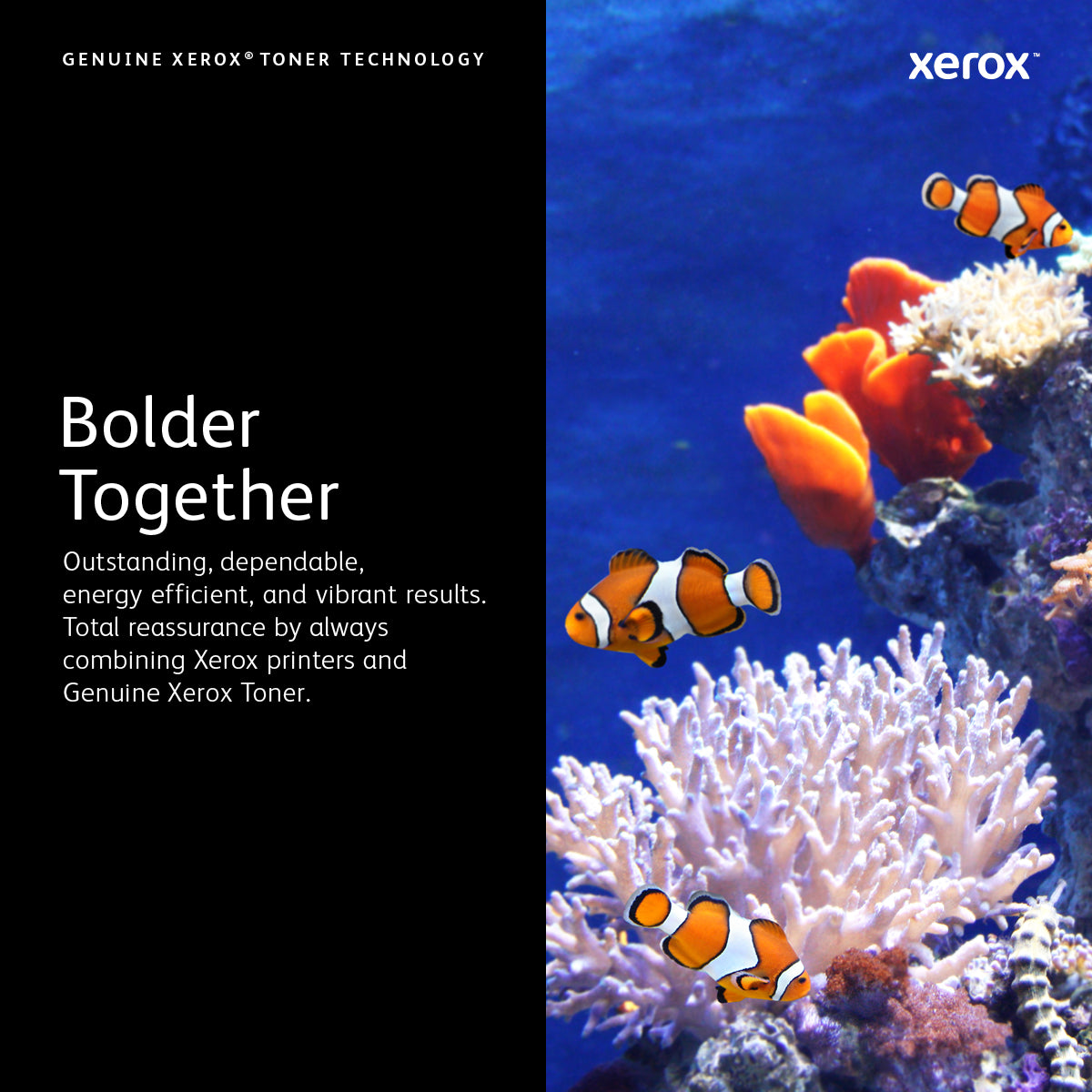    VersaLink C9000 högkapacitet SVART tonerkassett (31,400 sidor) www.electricalstuff.se ElectricalStuff.se   Xerox VersaLink