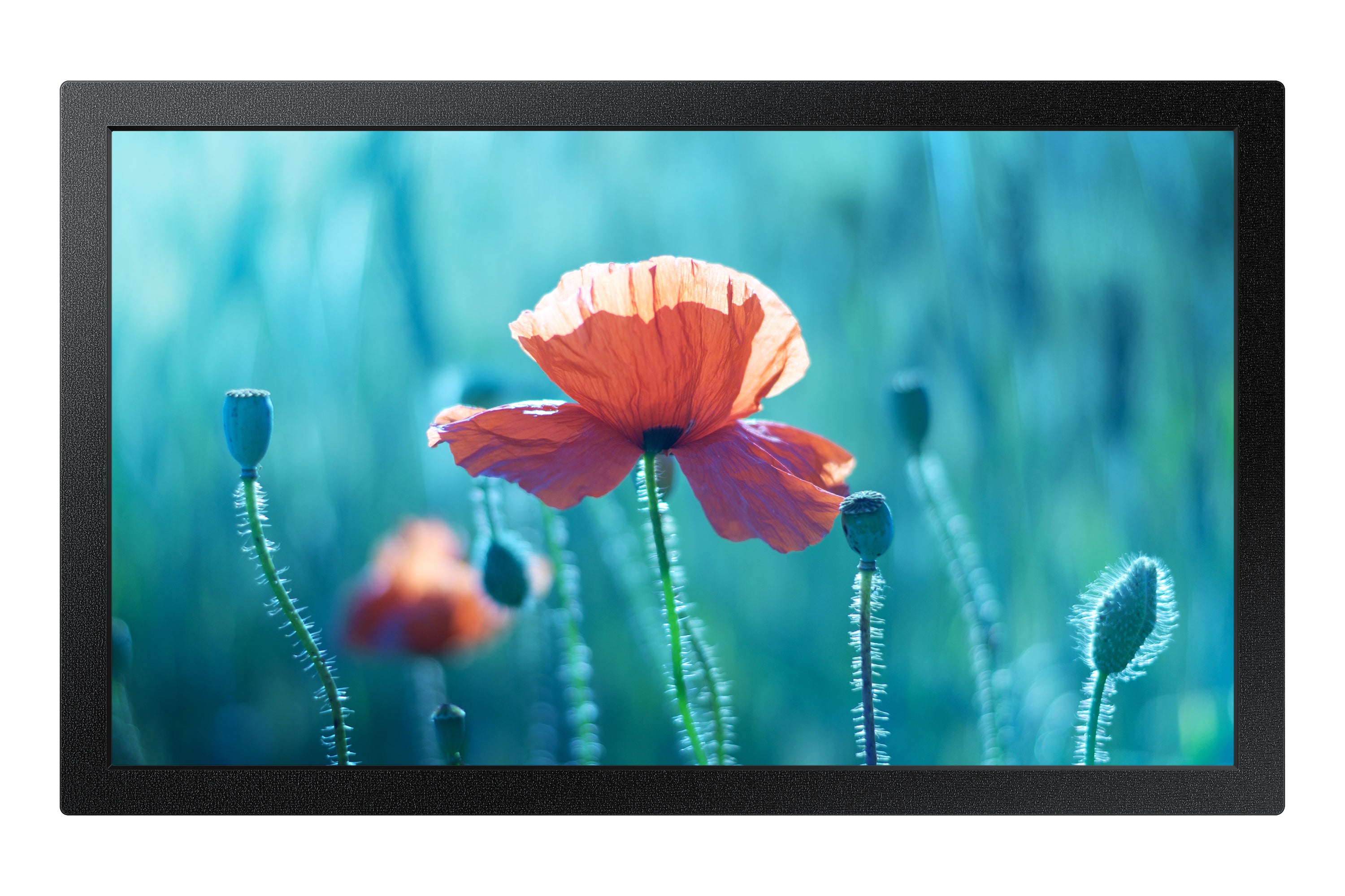  www.electricalstuff.se ElectricalStuff.se   Samsung QB13R-M Platt skärm för digital skyltning 33 cm (13") LCD Wi-Fi 500 cd/m