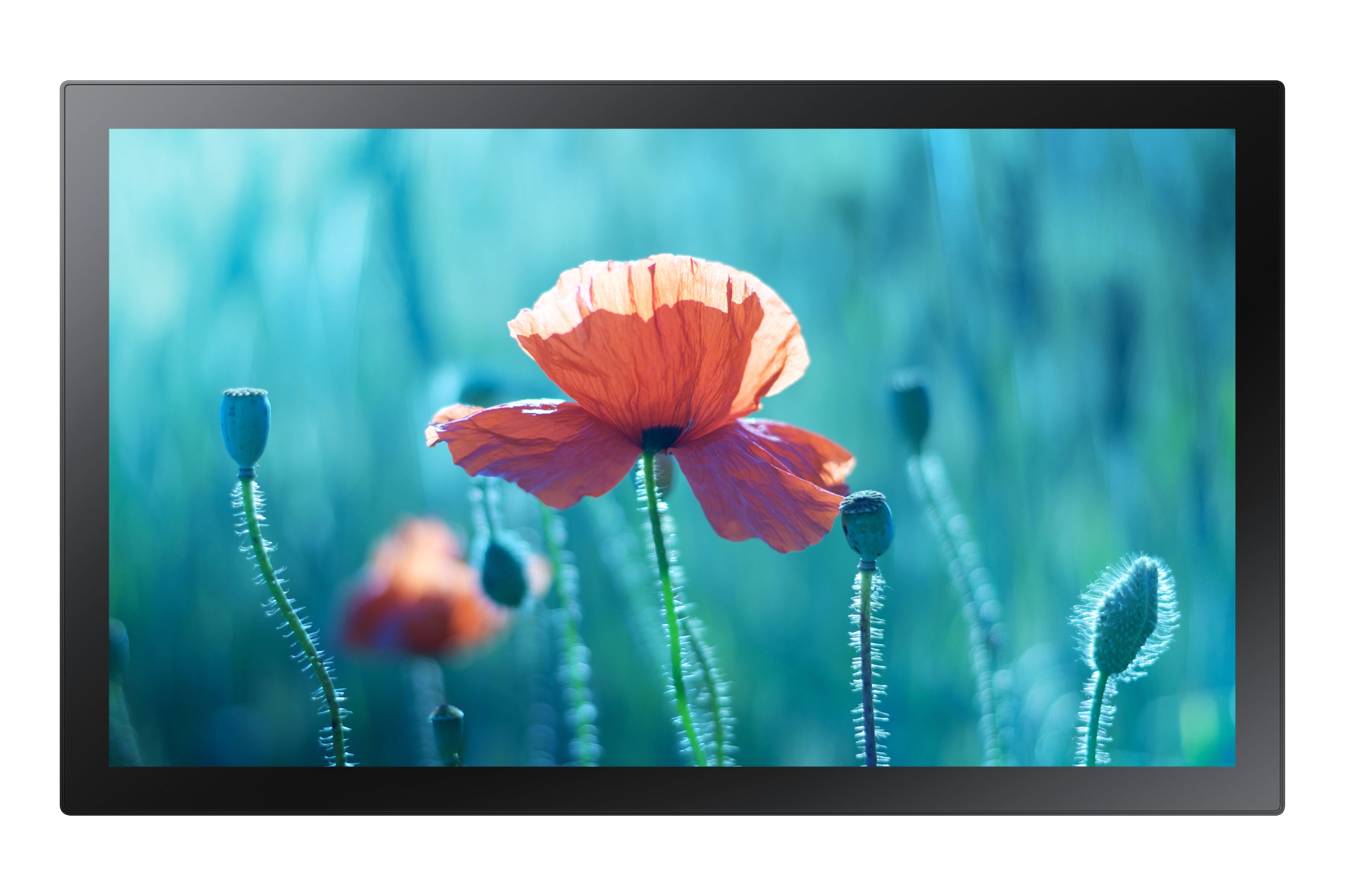  www.electricalstuff.se ElectricalStuff.se   Samsung QB13R-TM Interaktiv plattskärm 33 cm (13") LED Wi-Fi 500 cd/m² Full HD S