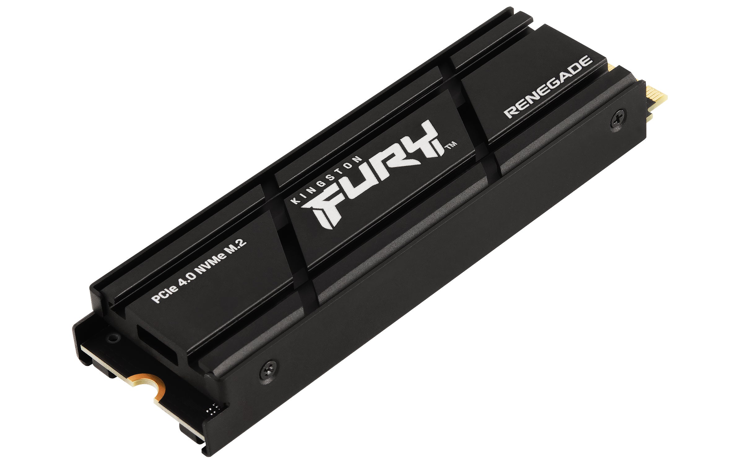   Kingston Technology FURY Renegade 1 TB M.2 PCI Express 4.0 NVMe 3D TLC Kingston Technology SFYRSK/1000G 0740617331073|74061
