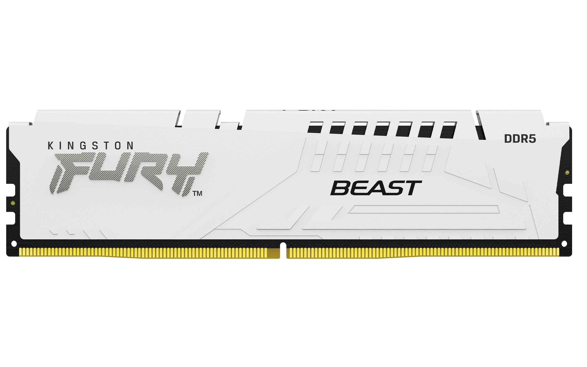  ston Technology FURY Beast RAM-minnen 64 GB 2 x 32 GB DDR5 Kingston Technology KF560C30BWEK2-64 0740617343250|740617343250 R